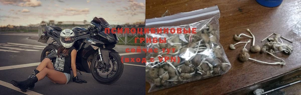 гашик Белоозёрский
