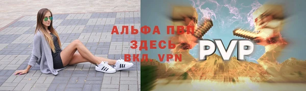 тгк Беломорск