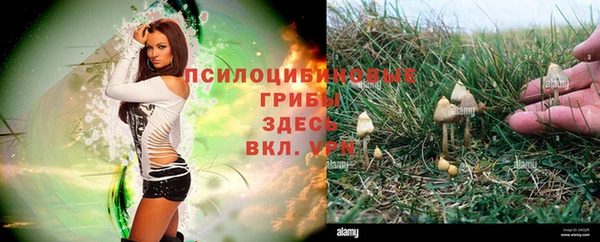 кокаин VHQ Белокуриха