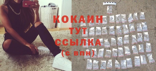 дмт Заводоуковск